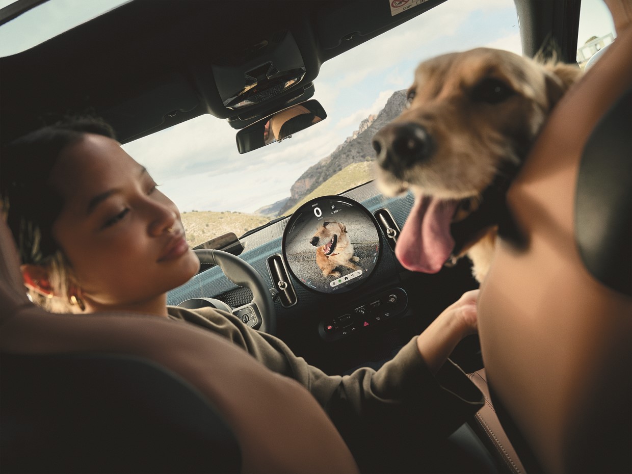 自由に遊ぶ上質な時間