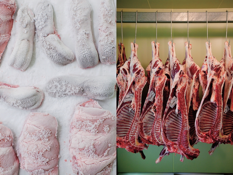 不可思議な羊の正体羊のまち――士別