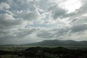 東北緑色革命情報都市「平泉」