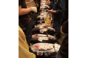 時今浪花賑活気あふれる天下の台所