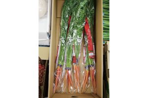 時今浪花賑活気あふれる天下の台所