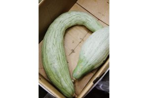 時今浪花賑活気あふれる天下の台所