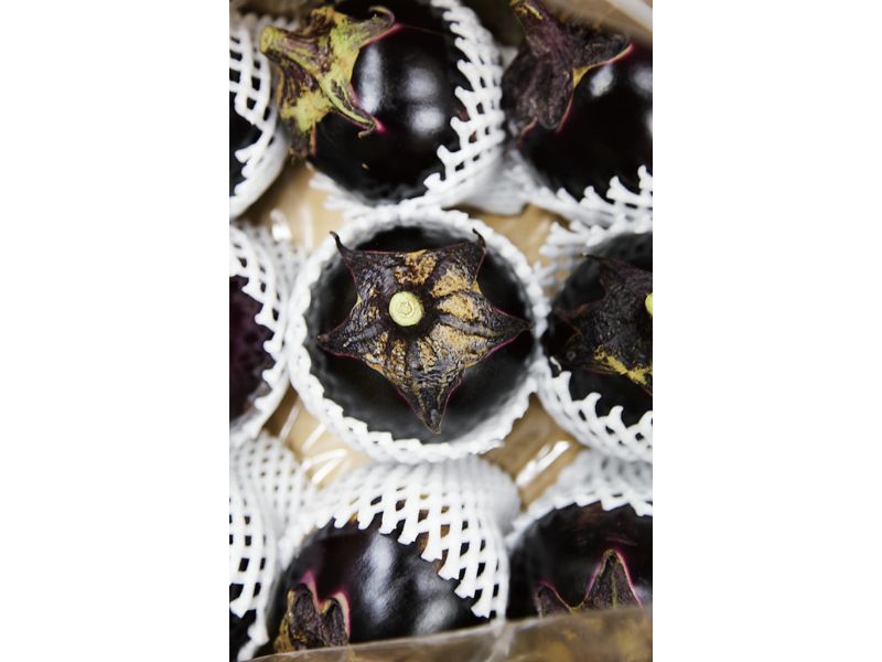 時今浪花賑活気あふれる天下の台所