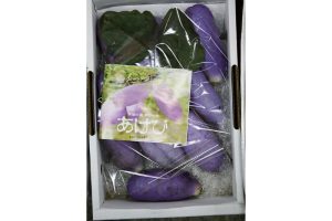 時今浪花賑活気あふれる天下の台所