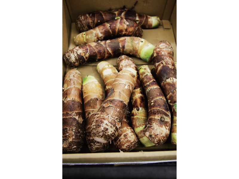 時今浪花賑活気あふれる天下の台所