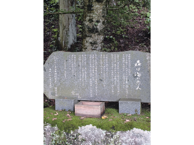 雪代水が育むカキ 宮城・気仙沼