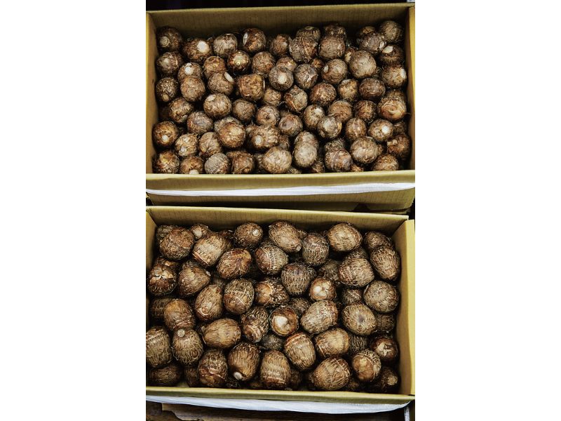 時今浪花賑活気あふれる天下の台所