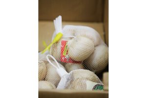 時今浪花賑活気あふれる天下の台所