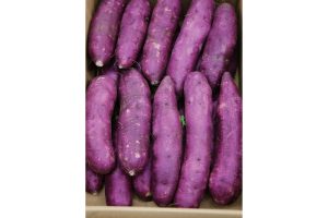 時今浪花賑活気あふれる天下の台所