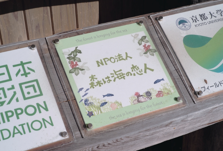 雪代水が育むカキ 宮城・気仙沼