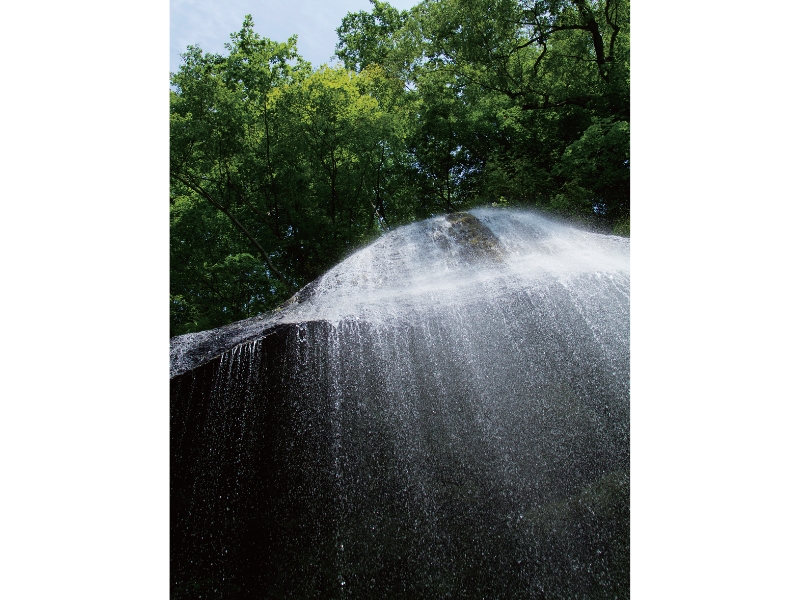 東北緑色革命太古の森、その原風景を探す