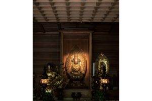 東北緑色革命情報都市「平泉」