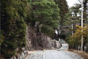 天領 飛騨高山荘厳な空気が流れる東山寺町