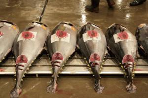 時今浪花賑活気あふれる天下の台所