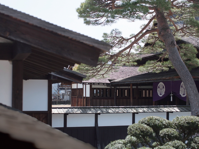 天領 飛騨高山荘厳な空気が流れる東山寺町