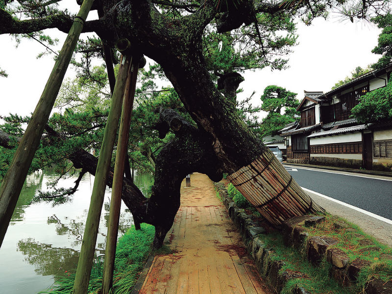 不昧公の松江・数寄者