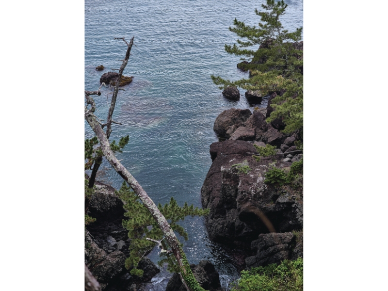雪代水が育むカキ 宮城・気仙沼