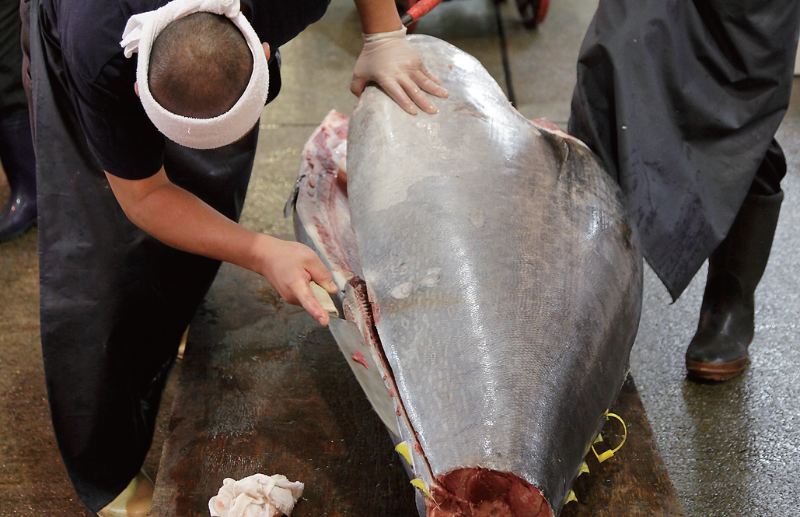 時今浪花賑活気あふれる天下の台所