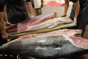 時今浪花賑活気あふれる天下の台所