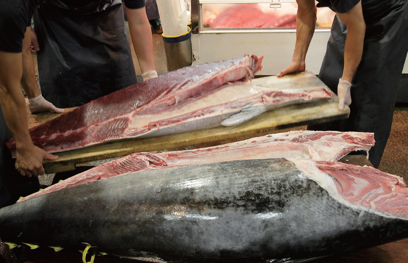 時今浪花賑活気あふれる天下の台所