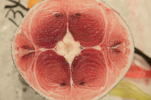 時今浪花賑活気あふれる天下の台所