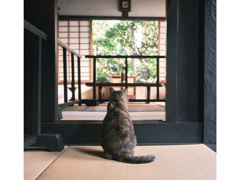 京都・五条の登り窯