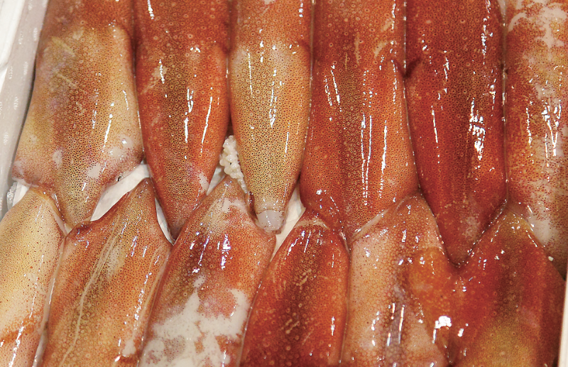 時今浪花賑活気あふれる天下の台所