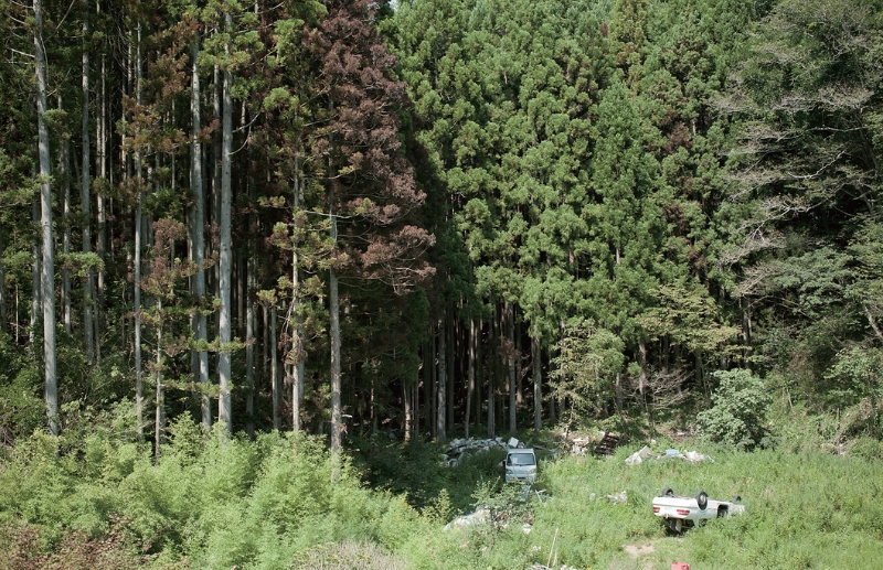 東北緑色革命風景の力、土地の力