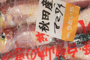 時今浪花賑活気あふれる天下の台所