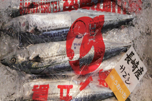 時今浪花賑活気あふれる天下の台所