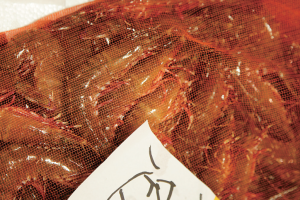 時今浪花賑活気あふれる天下の台所