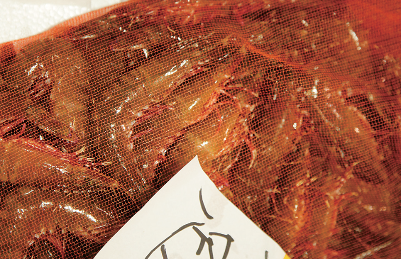 時今浪花賑活気あふれる天下の台所