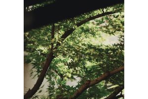 自分らしさを取り戻す一杯