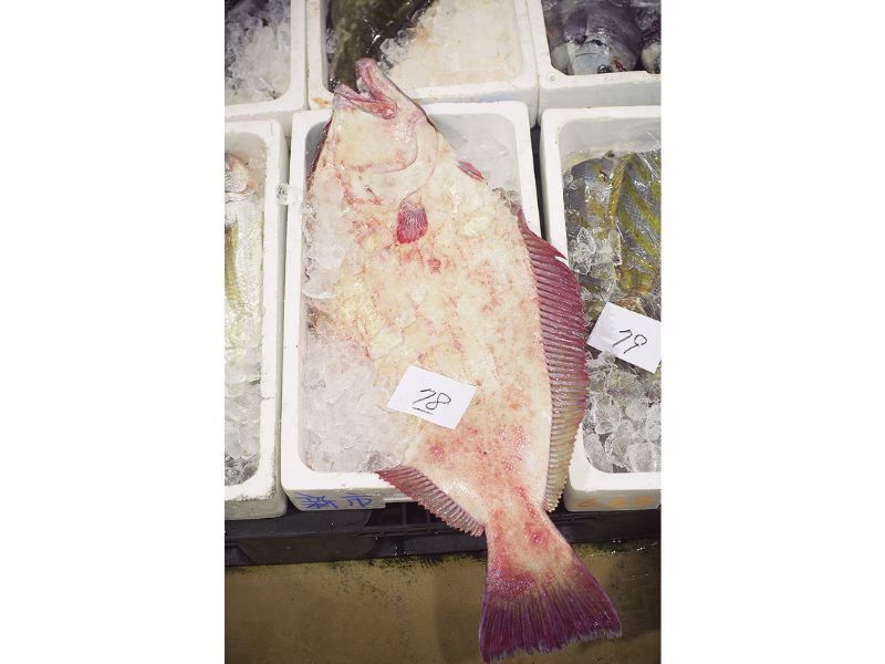 最西端の島、福江鬼門と繁栄