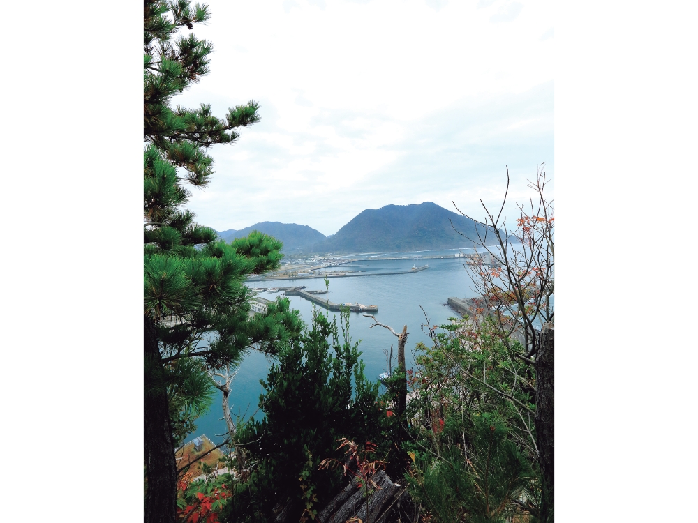 蟹と鳥取の物語松葉がにに沸く岩美町