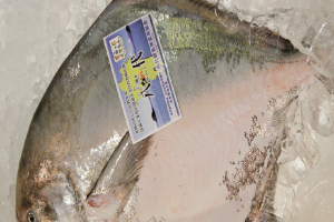 時今浪花賑活気あふれる天下の台所