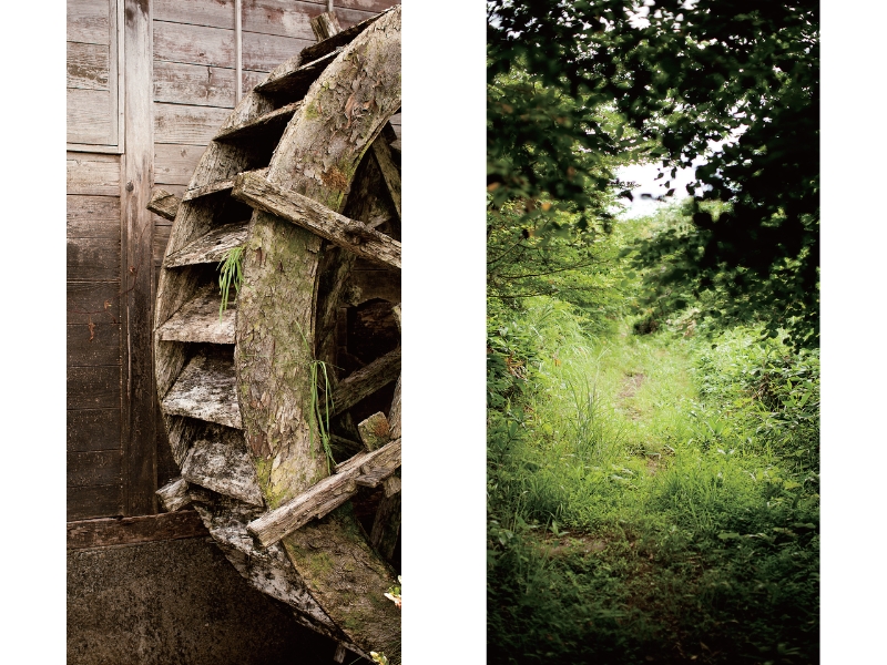 東北緑色革命風景の力、土地の力