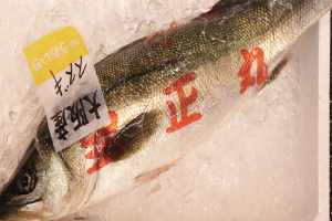 時今浪花賑活気あふれる天下の台所