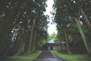 東北緑色革命情報都市「平泉」