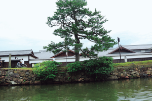 不昧公の松江・数寄者