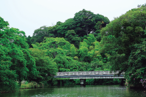 不昧公の松江・数寄者