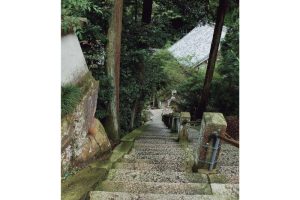 金寳冨貴・竹生島巡り