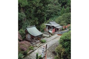 金寳冨貴・竹生島巡り