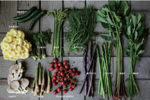 豊穣の地で育まれる伝統野菜