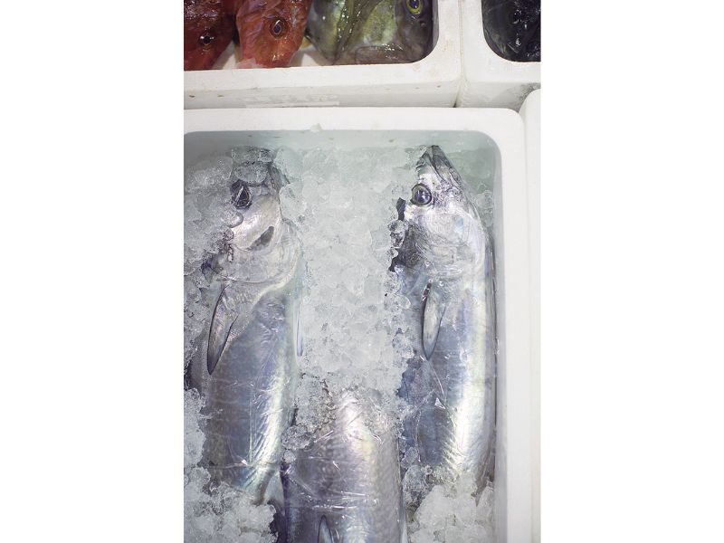 最西端の島、福江鬼門と繁栄