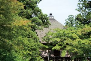 東北緑色革命情報都市「平泉」