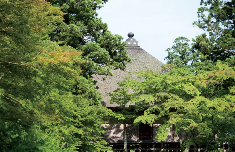 東北緑色革命情報都市「平泉」