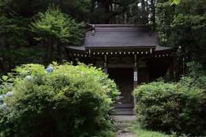 東北緑色革命情報都市「平泉」