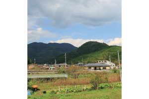 丹波・松茸山物語
