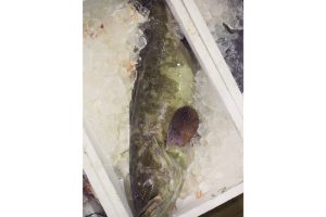 最西端の島、福江鬼門と繁栄